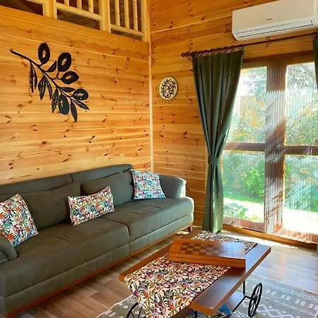 Villa Andızaltı Doğa Evleri Zeytin Ev Datça