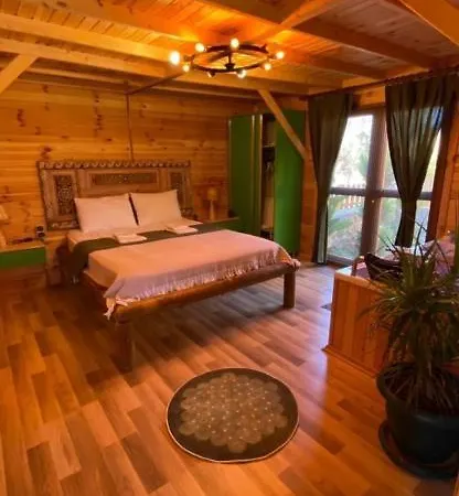Andızaltı Doğa Evleri Zeytin Ev Villa
