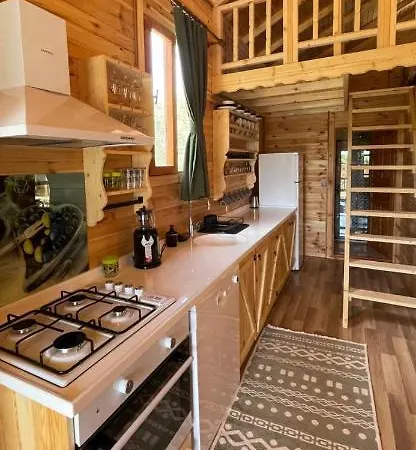 Villa Andızaltı Doğa Evleri Zeytin Ev *