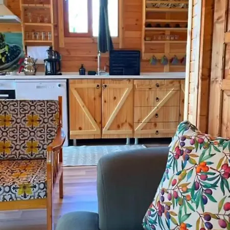 Andızaltı Doğa Evleri Zeytin Ev