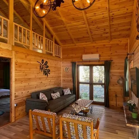 Villa Andızaltı Doğa Evleri Zeytin Ev Datça