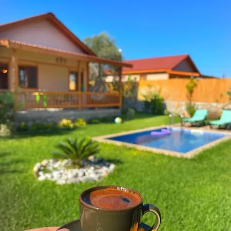 Andızaltı Doğa Evleri Zeytin Ev Villa *