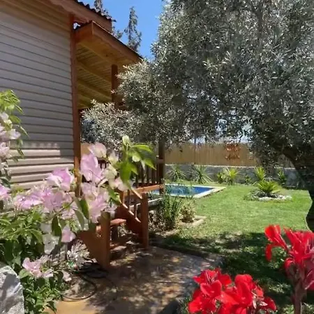 Villa Andızaltı Doğa Evleri Zeytin Ev *